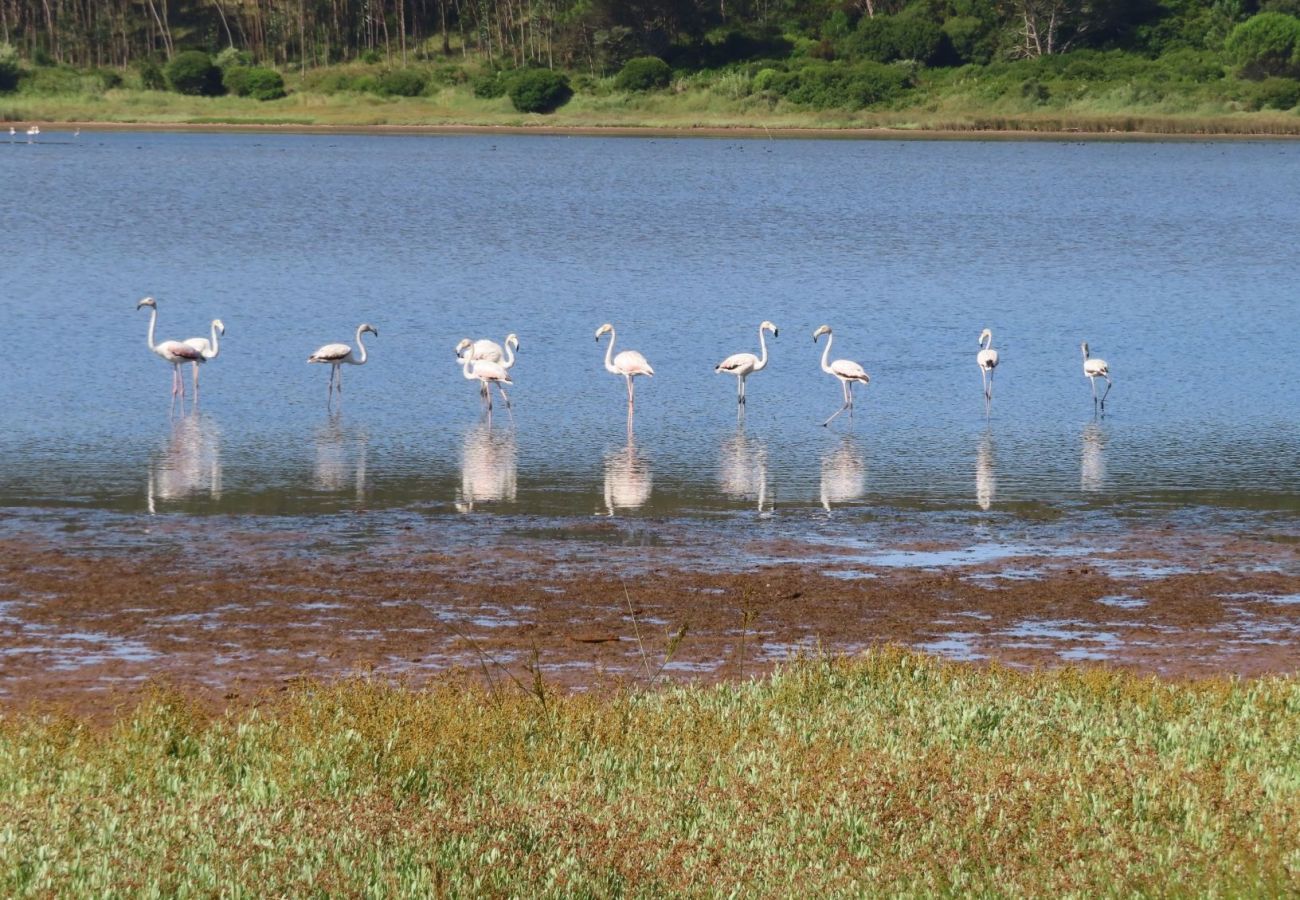 Villa em Nadadouro - BeGuest Óbidos Flamingo House