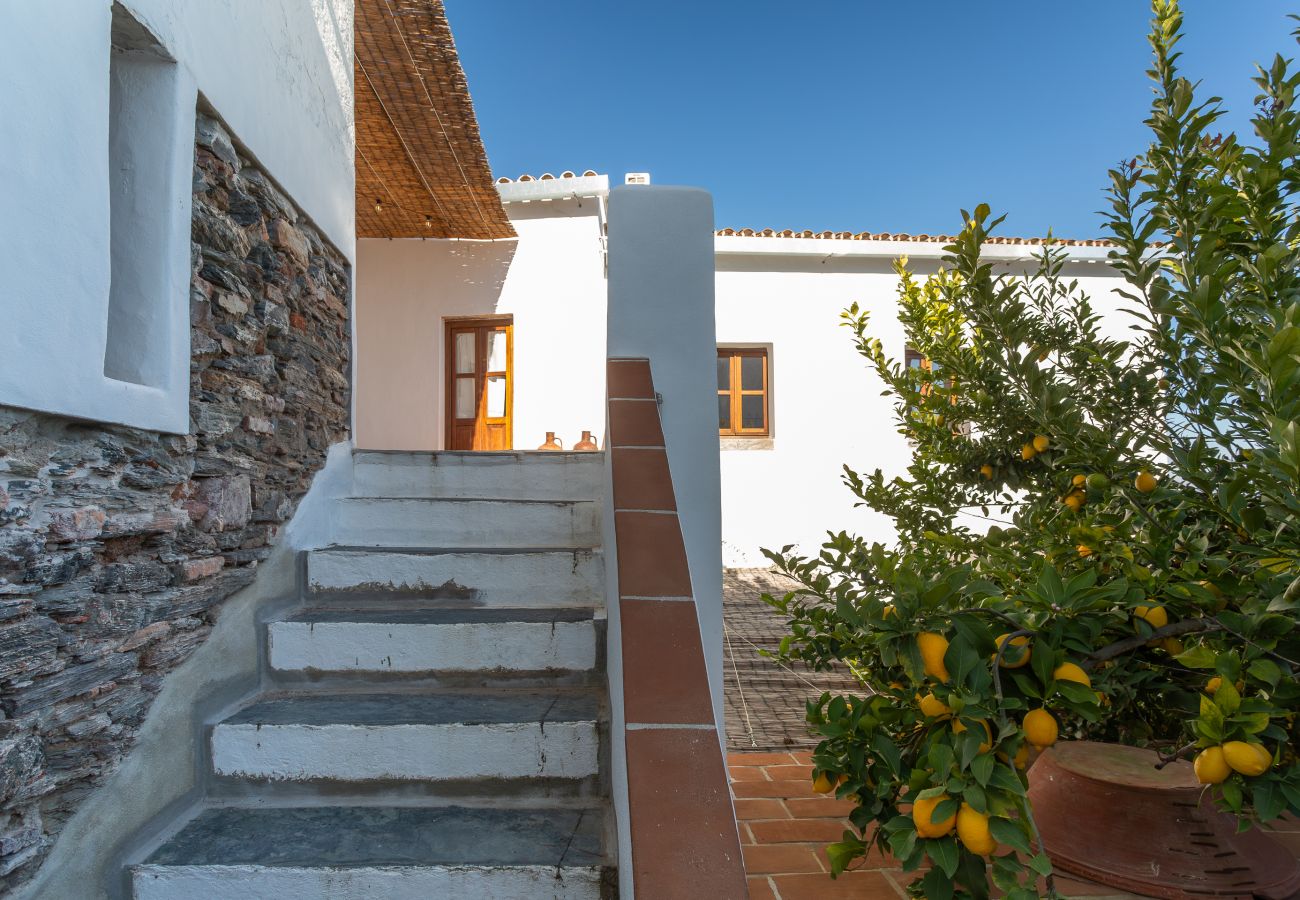 House in Reguengos de Monsaraz - Casa Monsaraz 3