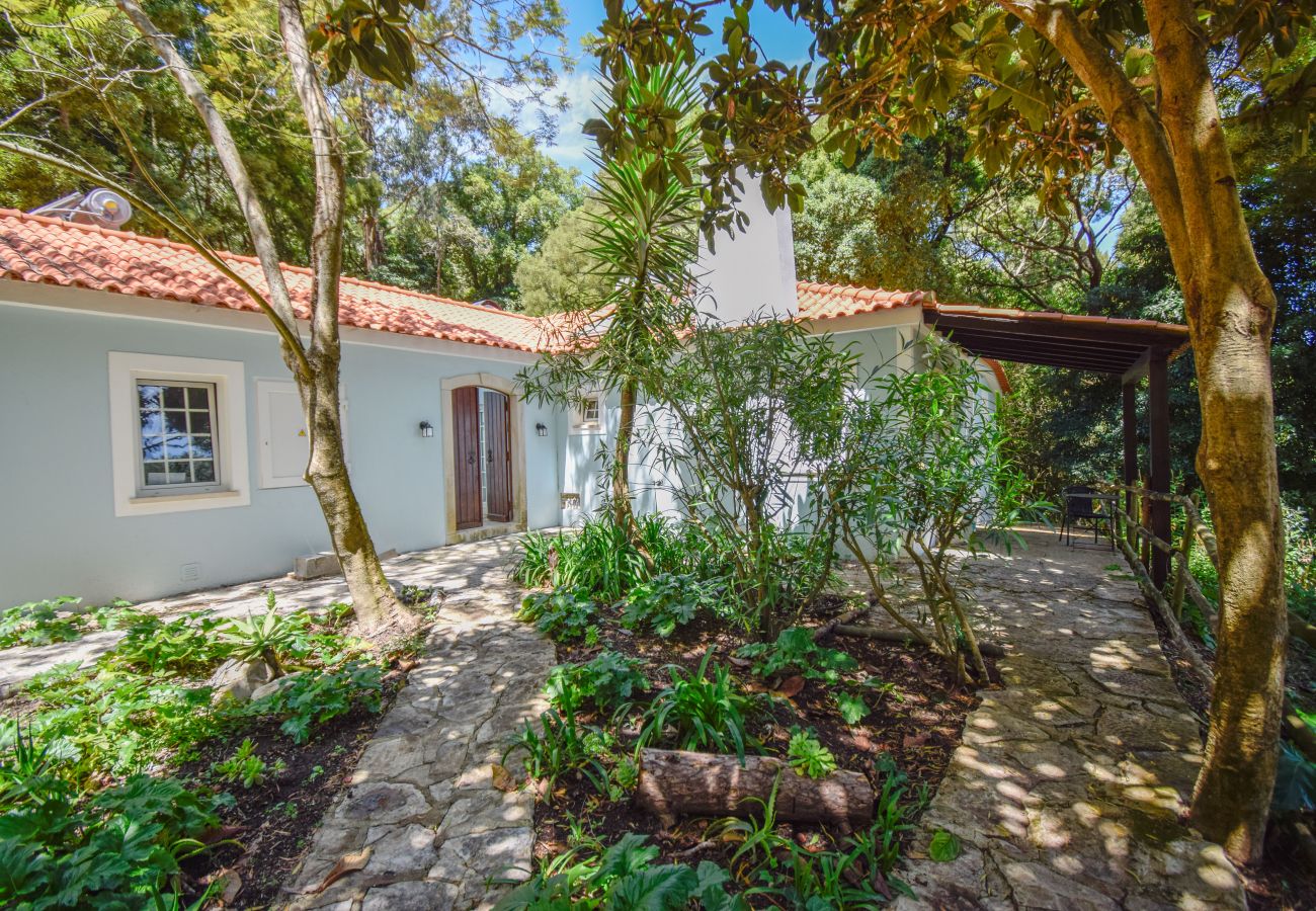 Estudio en Sintra - BeGuest Penedo Escape Suite 7